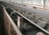 Tear resistant fabric core conveyor belt