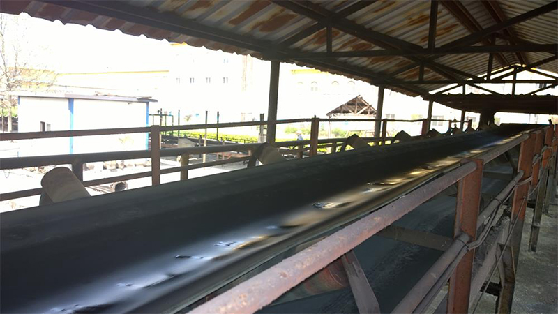 Oil resistant conveyor belt