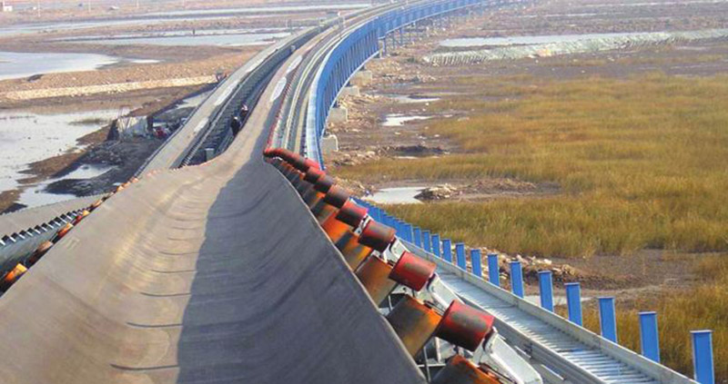 Ozone resistant conveyor belt