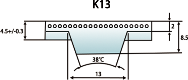 T10-K13