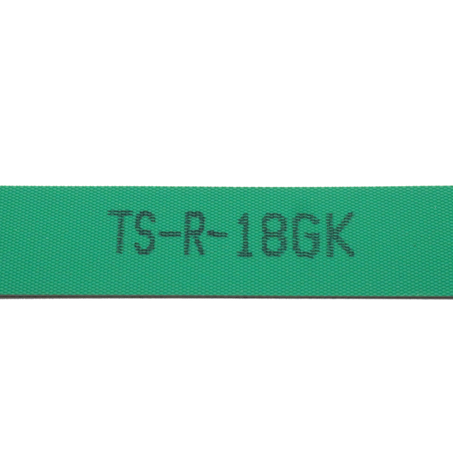 TS-R-18GK