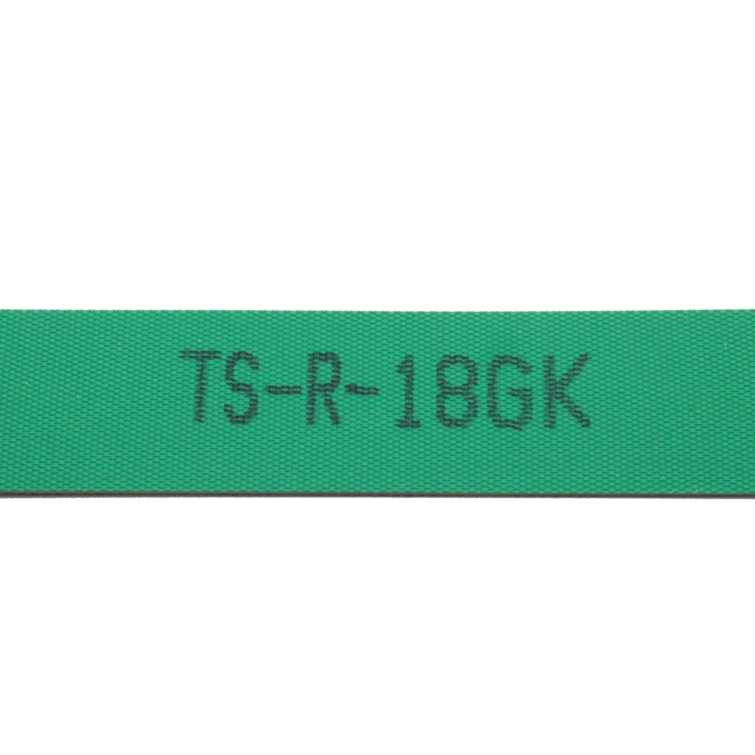 TS-R-18GK