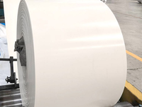White rubber conveyor belt