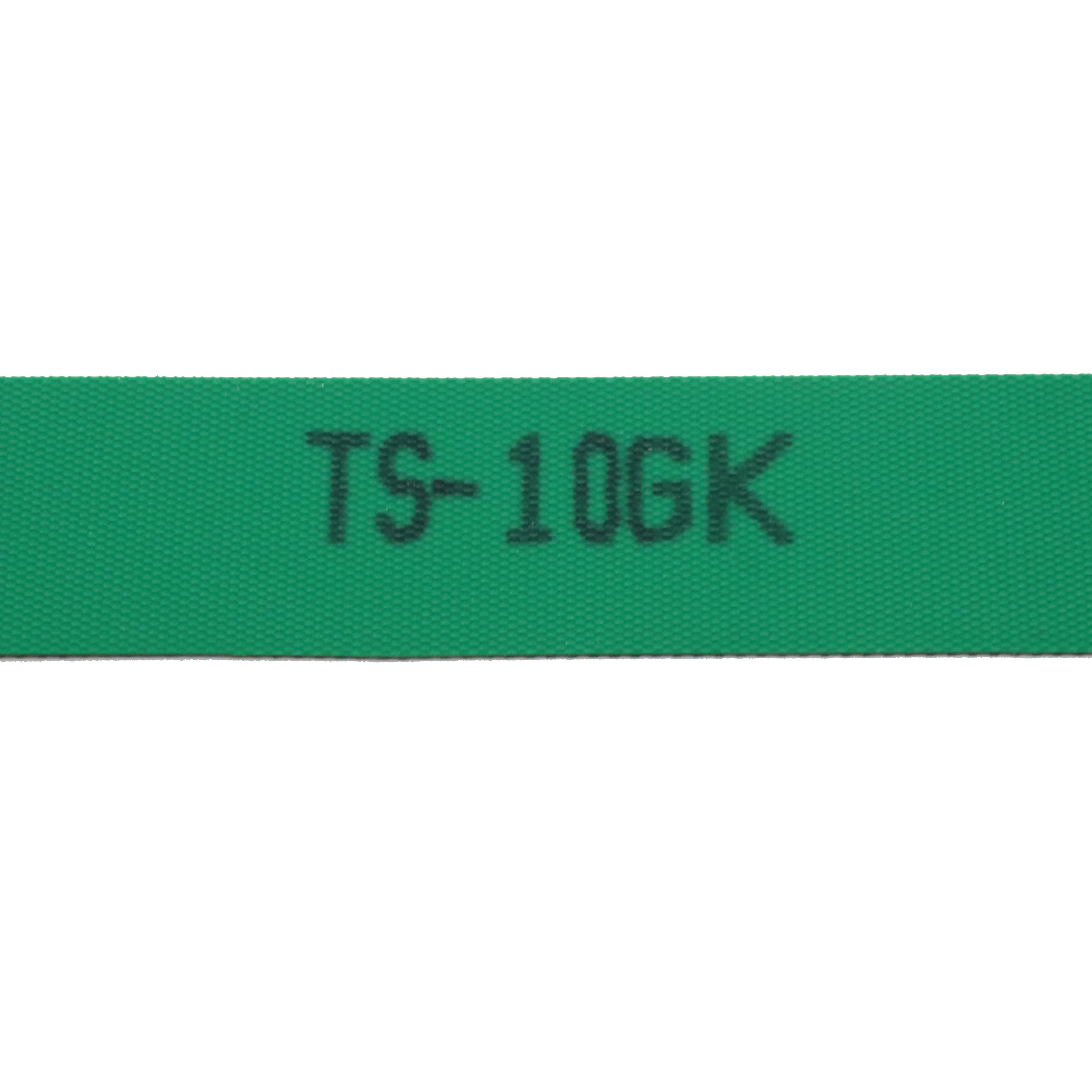 TS-10GK